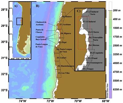 On the role of onshore geostrophic flow on larval retention in a permanent upwelling zone along north-central Chile